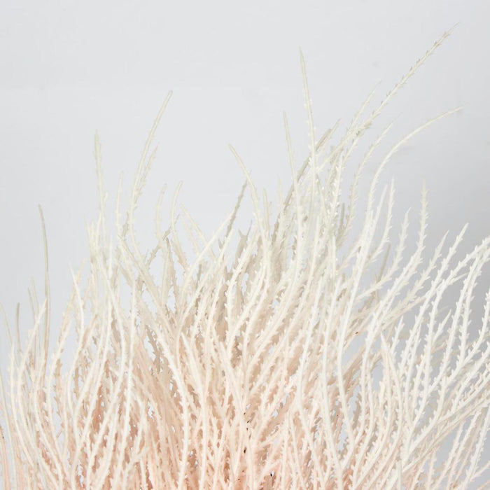 Grass Seed Bush Light Pink 2 pcs