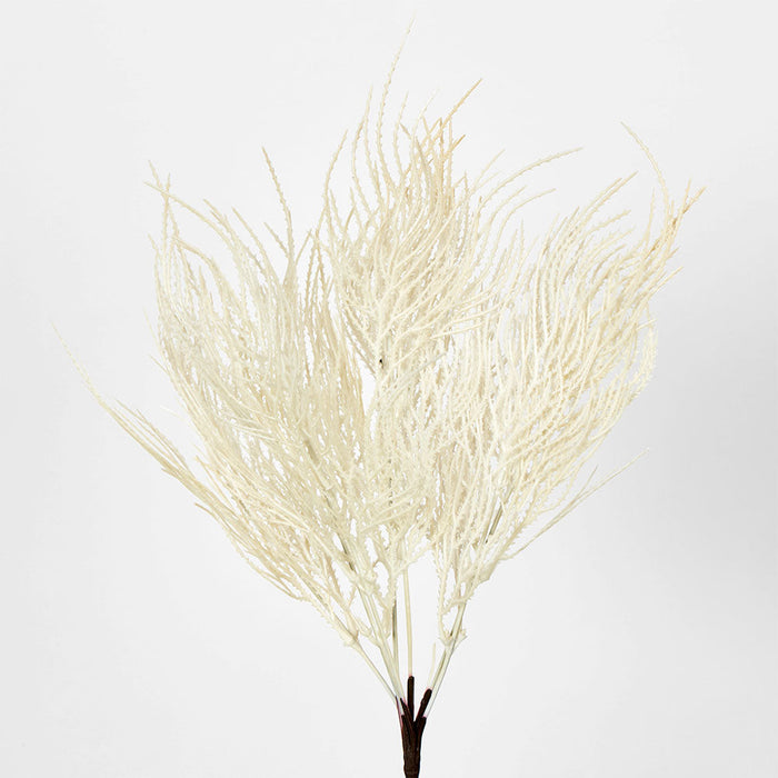 Pampas Grass Seed Spray Cream 2 pcs
