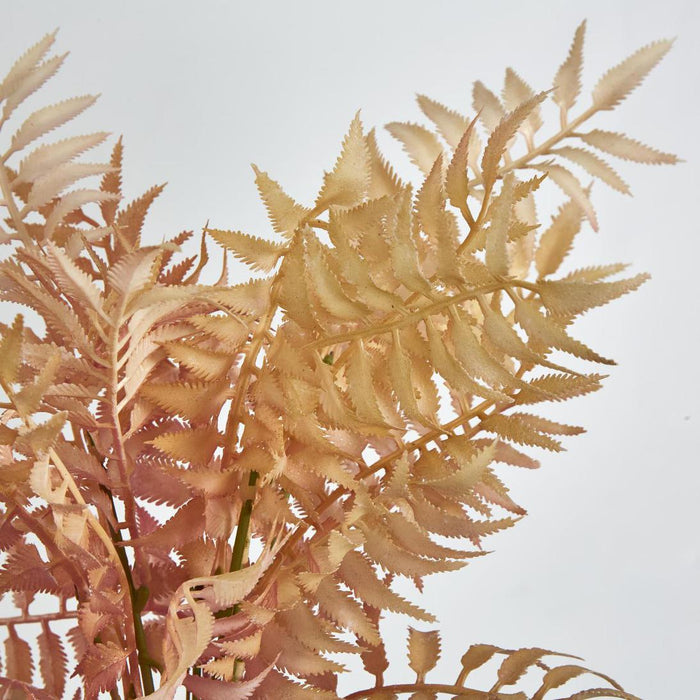 Fern Bush Pink 15 pcs