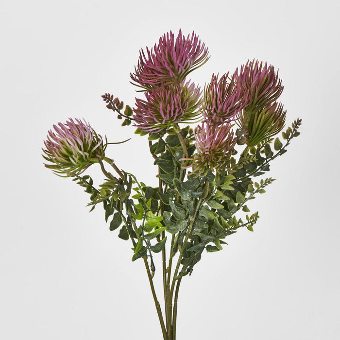 Thistle Bush x 5 Dark Pink 6 pcs