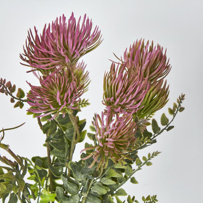 Thistle Bush x 5 Dark Pink 6 pcs
