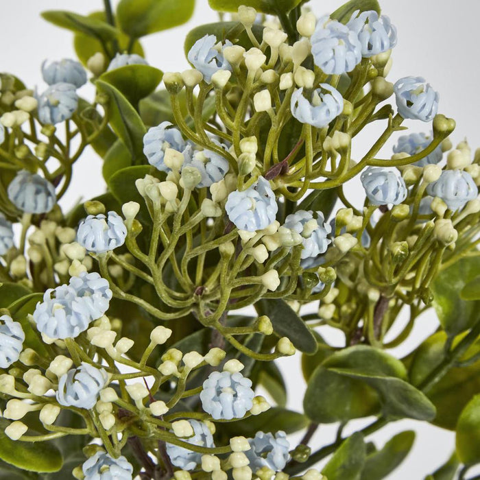 Flowering Bush Blue set of 6