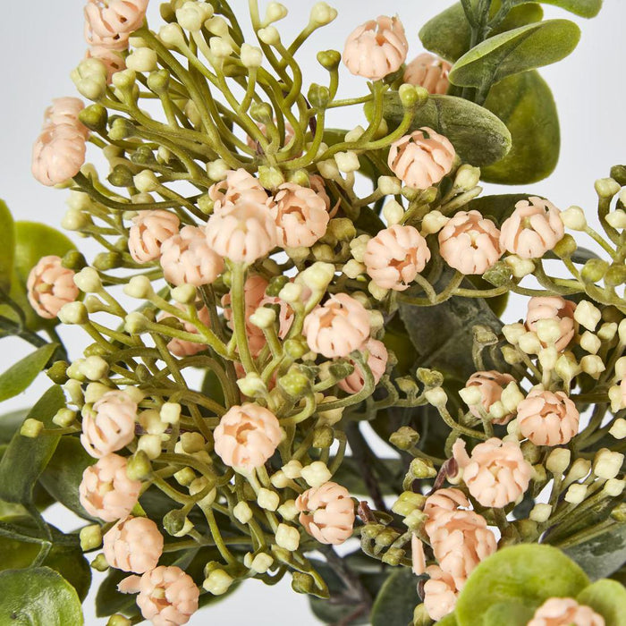 Flowering Bush Pink set of 6