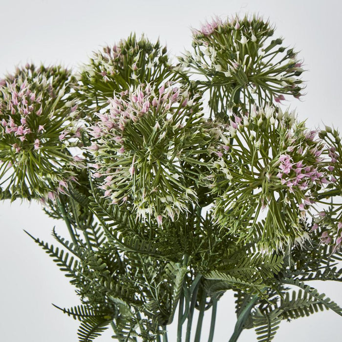 Wild Dandelion Bush x 7 Light Pink 15 pcs