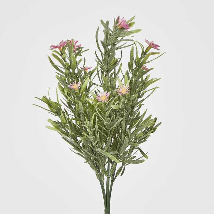 Wild Daisy Bush Pink 12 pcs