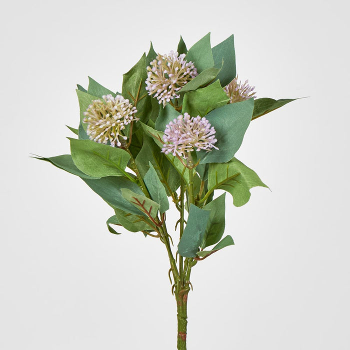 Allium Bush Purple 12 pcs