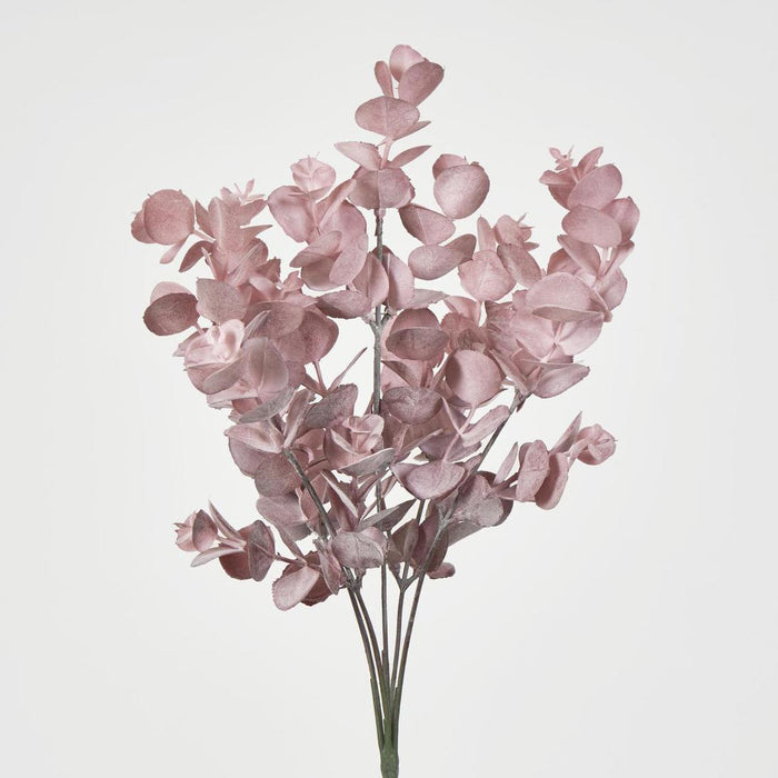 Eucalyptus?Bush Pink 12 pcs