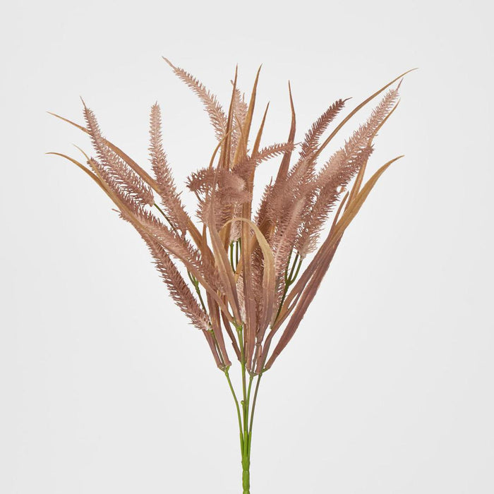 Pampas Grass Bush Pink set of 12