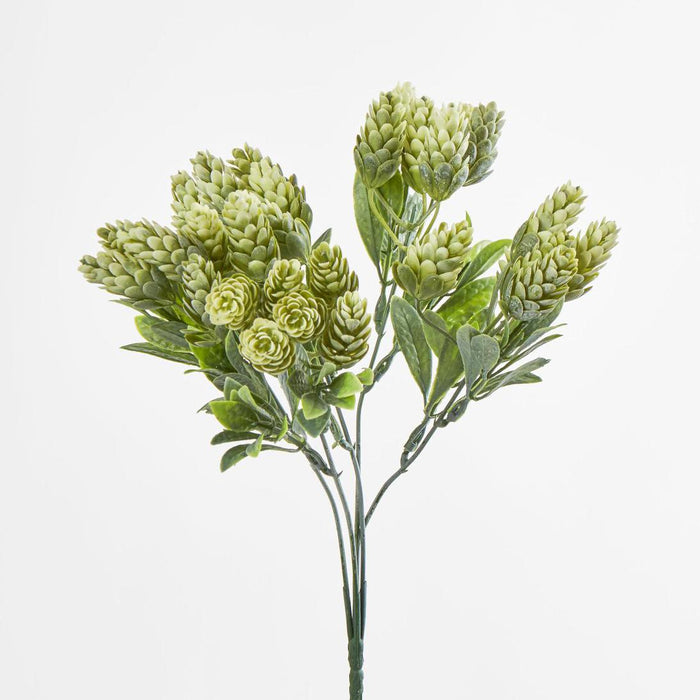 Hop Bush Green set of 12