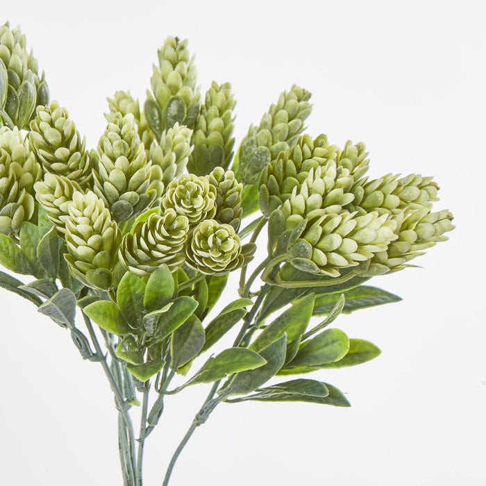 Hop Bush Green set of 12