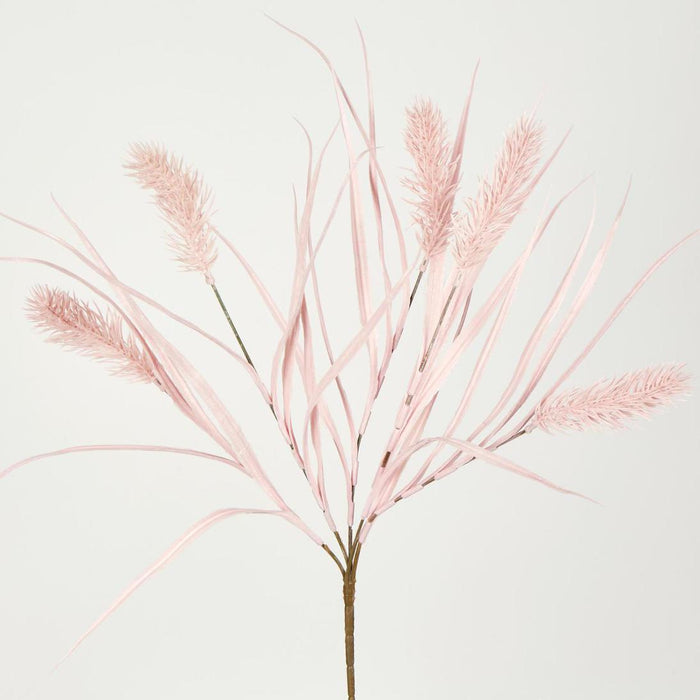Banksia Bush Pink 12 pcs