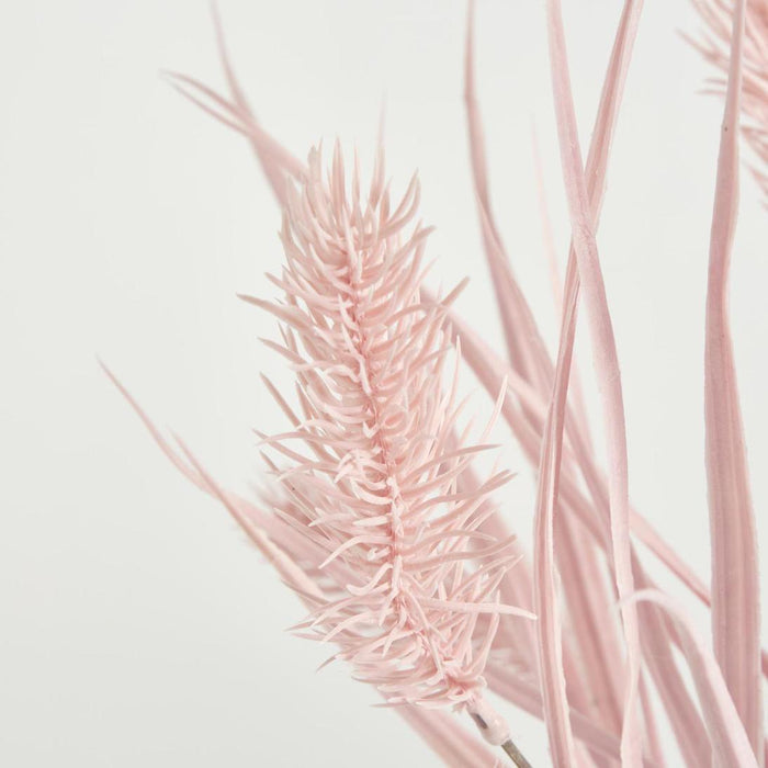 Banksia Bush Pink 12 pcs