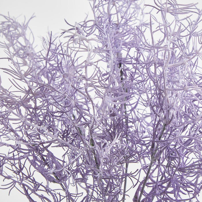 Coral Bush Purple set of 12