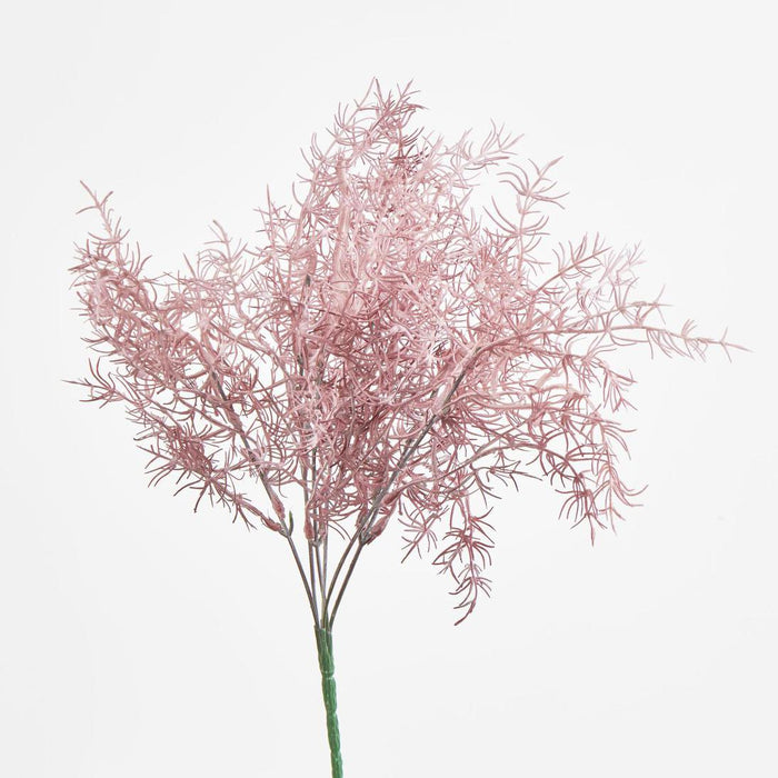Coral Bush Pink set of 12