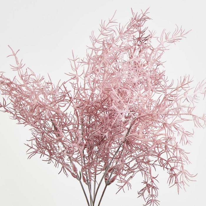Coral Bush Pink set of 12