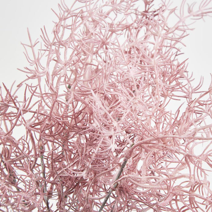 Coral Bush Pink set of 12