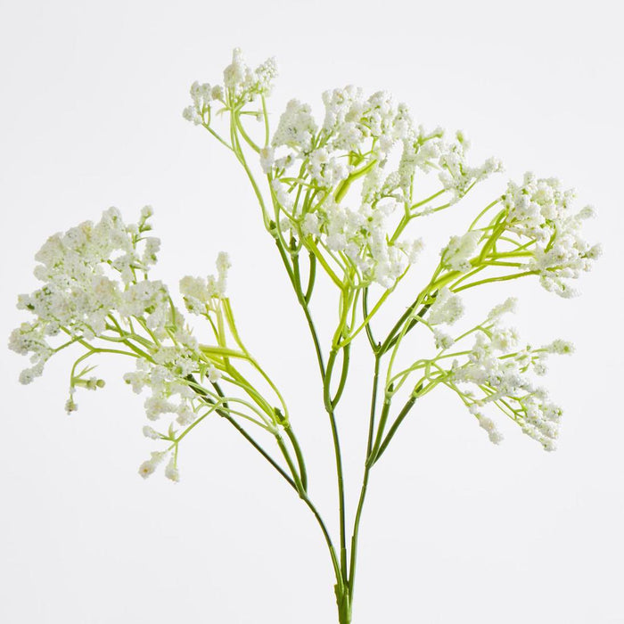 Baby's Breath Spray White 12 pcs