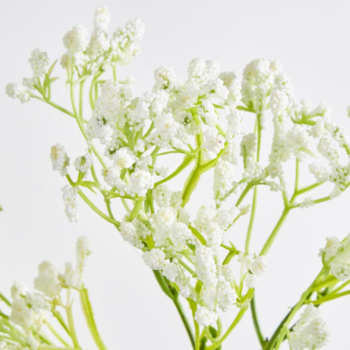 Baby's Breath Spray White 12 pcs
