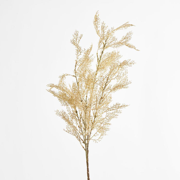 Pampas Grass Bush Cream set of 12