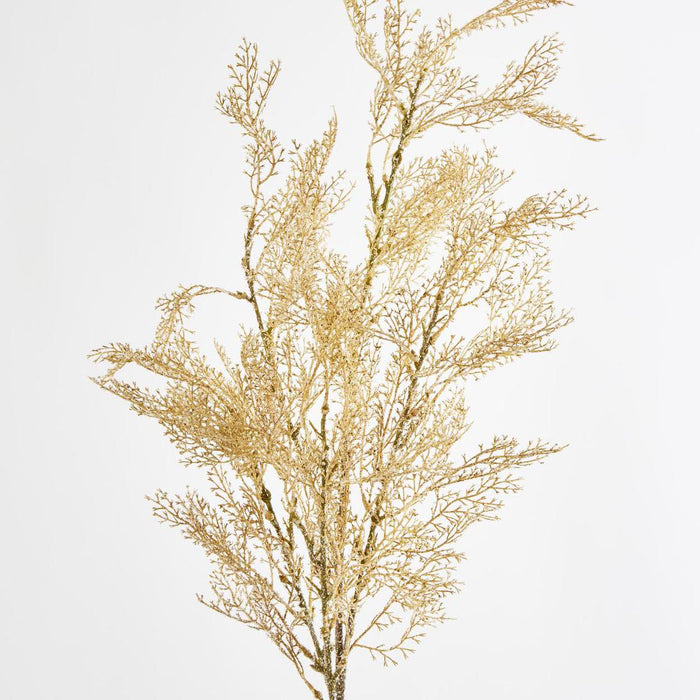 Pampas Grass Bush Cream set of 12