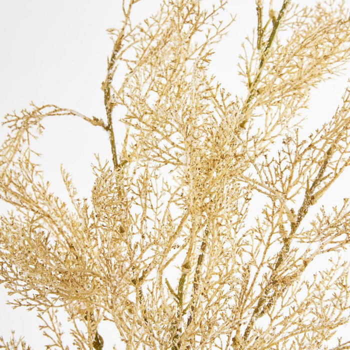 Pampas Grass Bush Cream set of 12