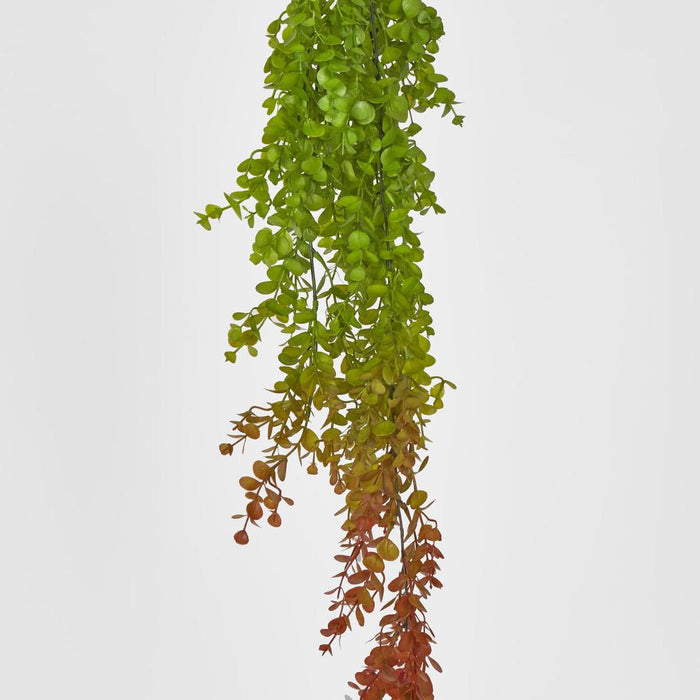 Hanging Eucalyptus Green Red 12 pcs