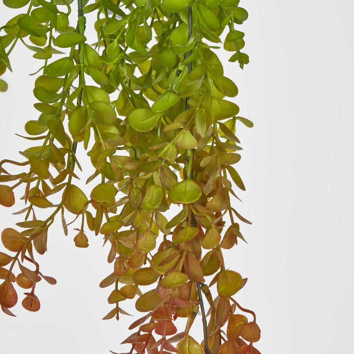 Hanging Eucalyptus Green Red 12 pcs