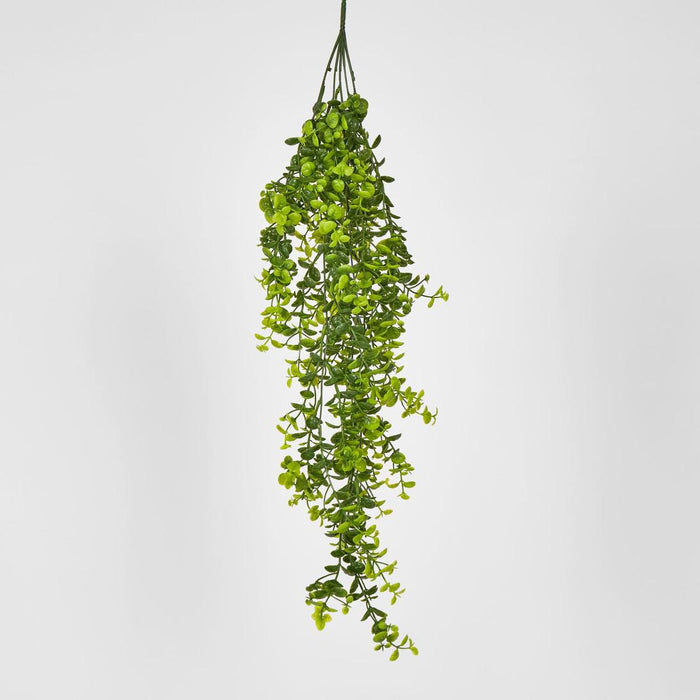 Hanging Buxus Greenery 12 pcs