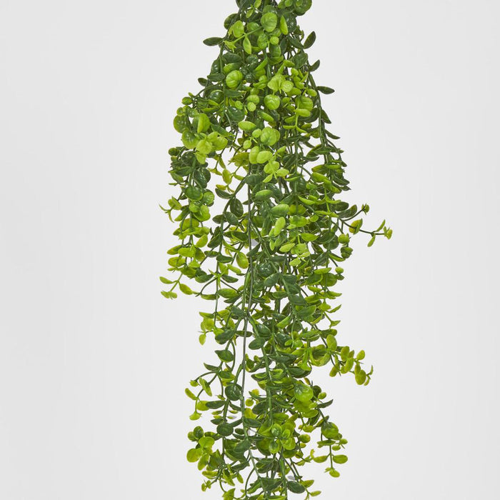 Hanging Buxus Greenery 12 pcs