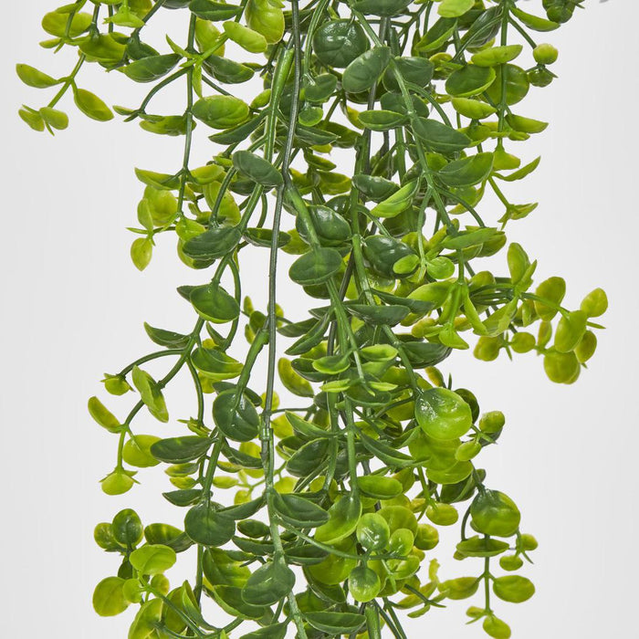 Hanging Buxus Greenery 12 pcs