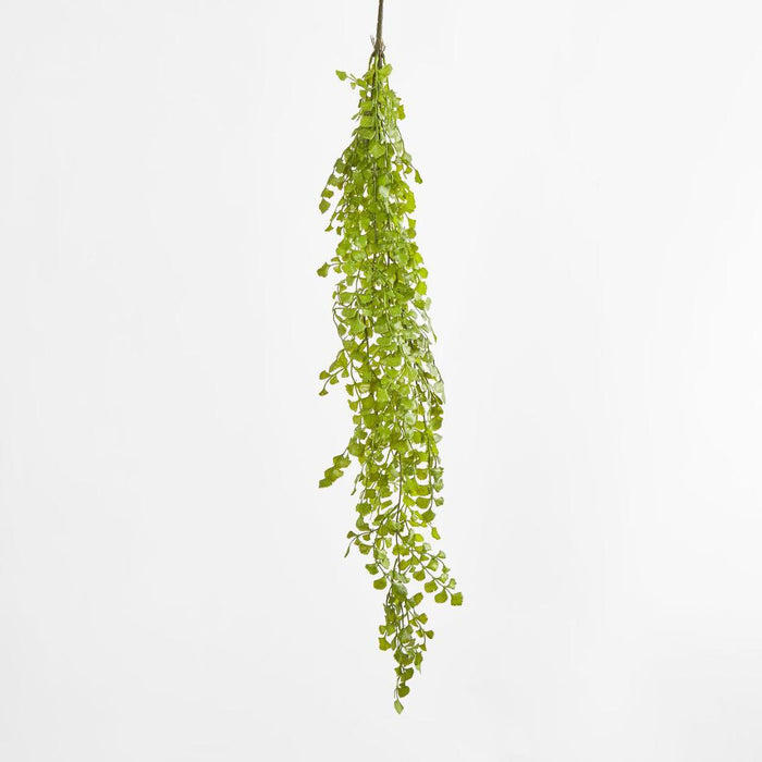 Button Hanging Fern 12 pcs