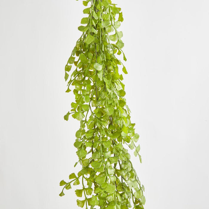 Button Hanging Fern 12 pcs