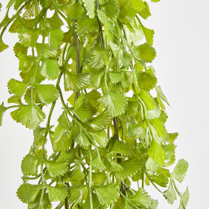 Button Hanging Fern 12 pcs