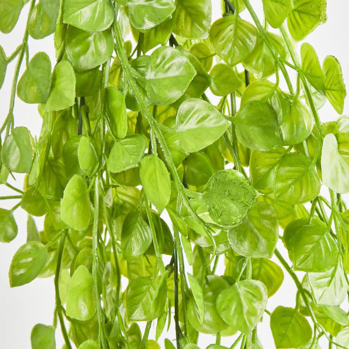 Hanging Buxus Greenery Light Green 12 pcs