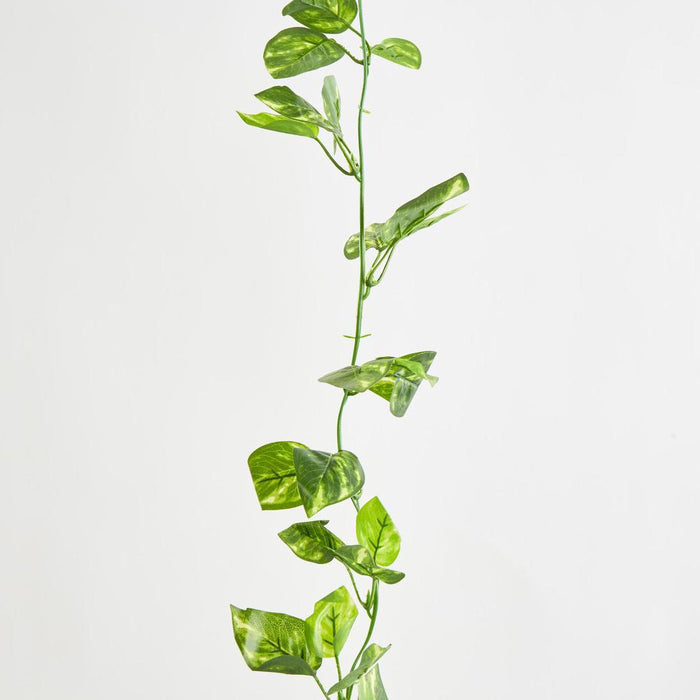 Pothos Leaf Garland Green set of 12
