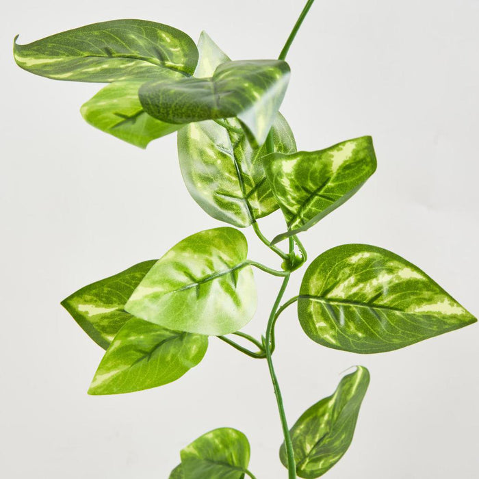 Pothos Leaf Garland Green set of 12