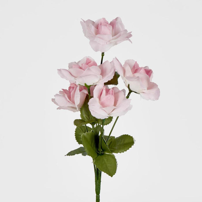 Rose Bush Asstd B Box of 60 30 pcs