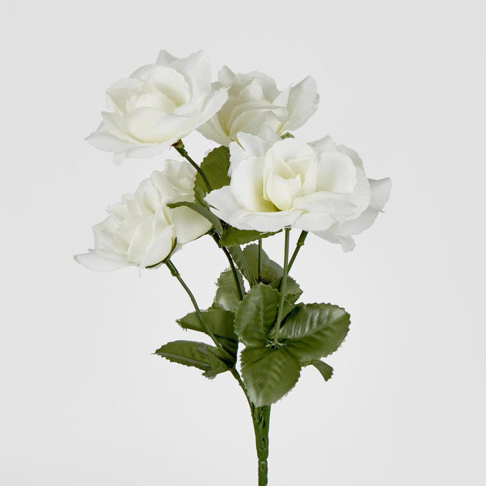 Rose Bush Asstd B Box of 60 30 pcs