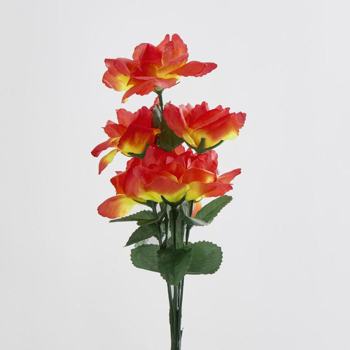 Rose Bush Asstd C Box of 60 30 pcs
