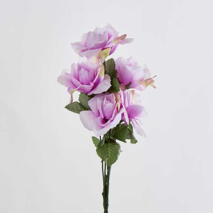 Rose Bush Asstd C Box of 60 30 pcs