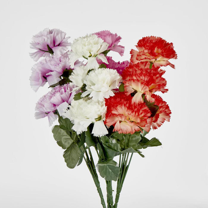 Carnation Bush B Asstd Box of 60 30 pcs
