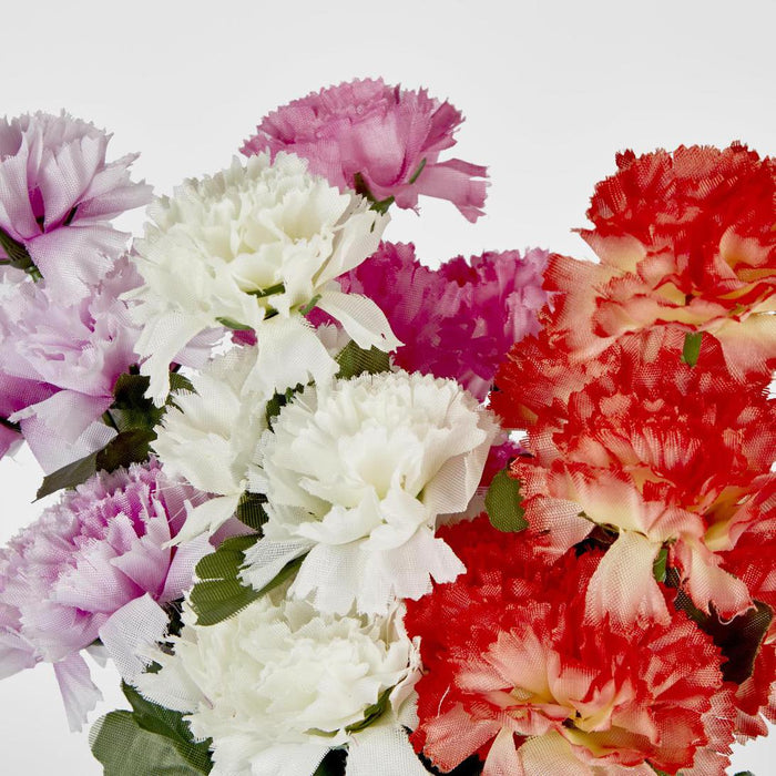 Carnation Bush B Asstd Box of 60 30 pcs