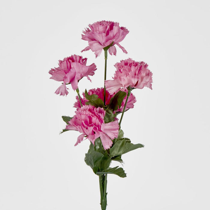 Carnation Bush B Asstd Box of 60 30 pcs