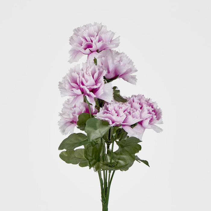 Carnation Bush B Asstd Box of 60 30 pcs