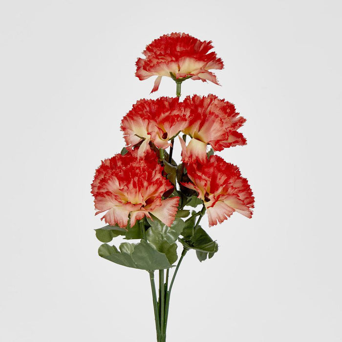 Carnation Bush B Asstd Box of 60 30 pcs
