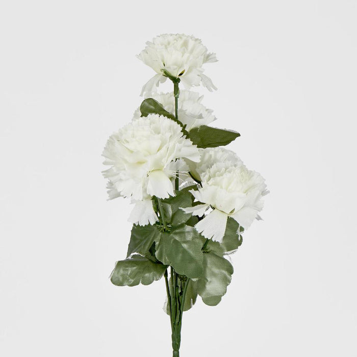 Carnation Bush B Asstd Box of 60 30 pcs