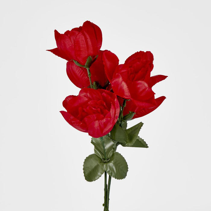 Peony Bush Asstd Box of 60 30 pcs