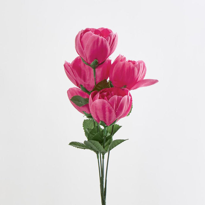 Peony Bush Asstd B Box of 60 30 pcs