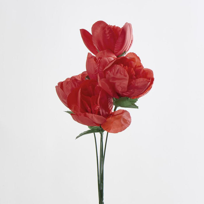Peony Bush Asstd B Box of 60 30 pcs