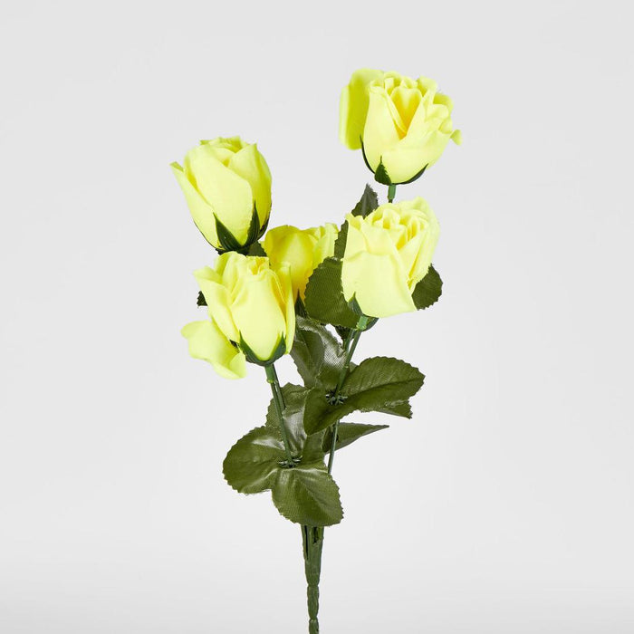 Rosebud Bush Multi Box of 60 30 pcs
